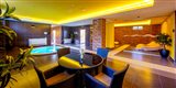 alexander bk wellness 2