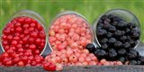 berries - currant