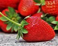 berry - strawberry