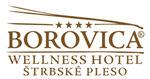 borovica logo hn