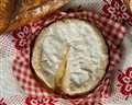 camembert jacq bacou pxb