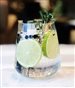 marriott gin tonic