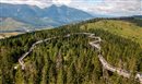 tatry - bachledka pxb